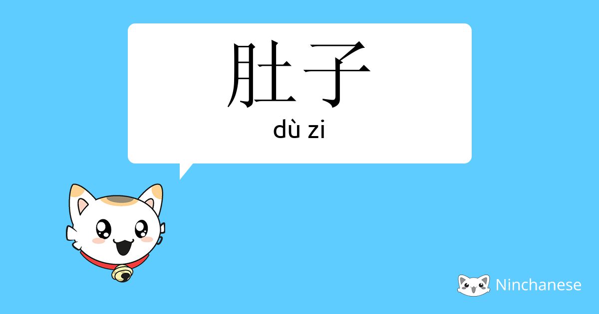 肚子 dù zi Chinese character definition, English meaning and stroke