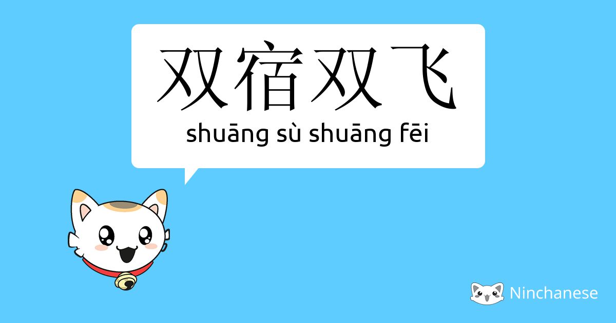 双宿双飞- shuāng sù shuāng fēi - Chinese character definition, English meaning  and stroke order - Ninchanese